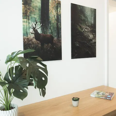 公寓式酒店 Black Forest