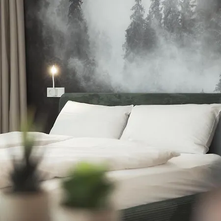 Appartement Black Forest Achern