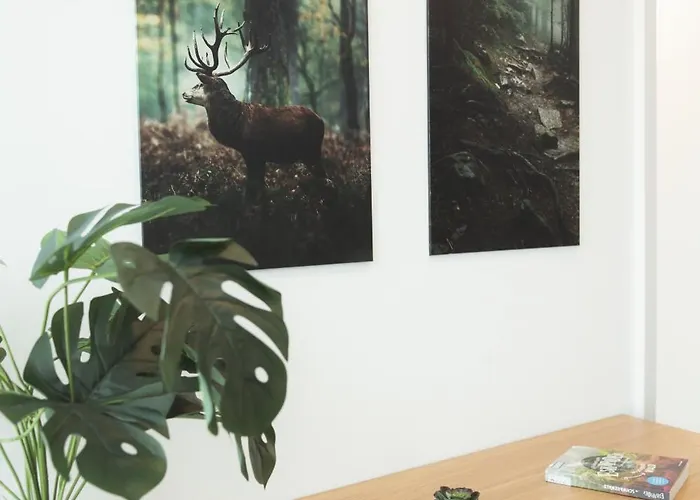 Apart-hotel Black Forest