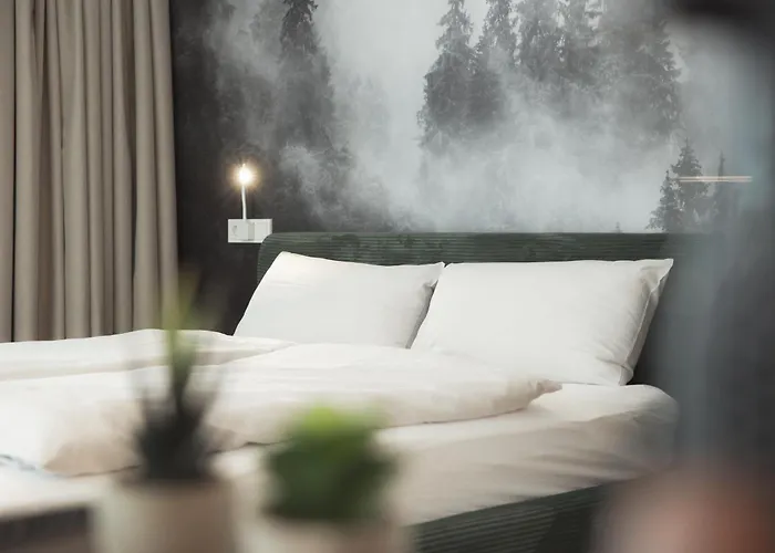 Aparthotel Black Forest Achern