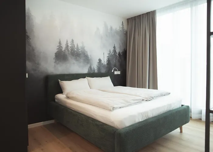 Black Forest 3* Achern